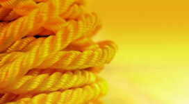 Yellow thread Asus Stock6547919637 272x150 - Yellow Thread Asus Stock - yellow, thread, Stock, Oranges, ASUS